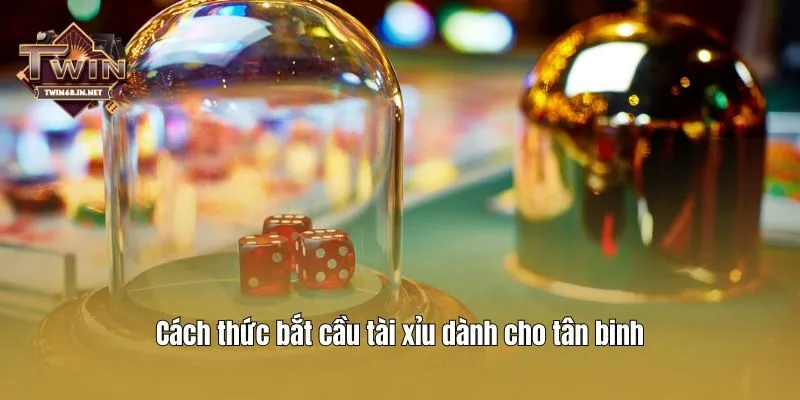 Cách thức bắt cầu tài xỉu dành cho tân binh